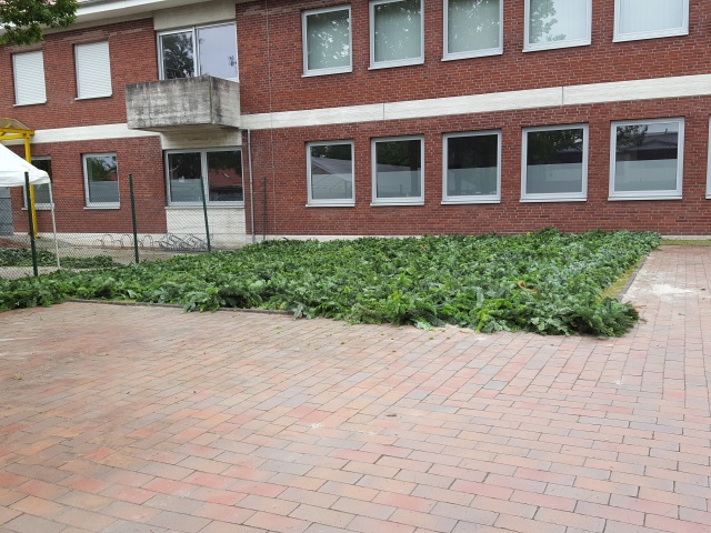 ../fotos/weltrekordversuch_ostrhauderfehn_2019/2019-06-12 09.01.07.jpg